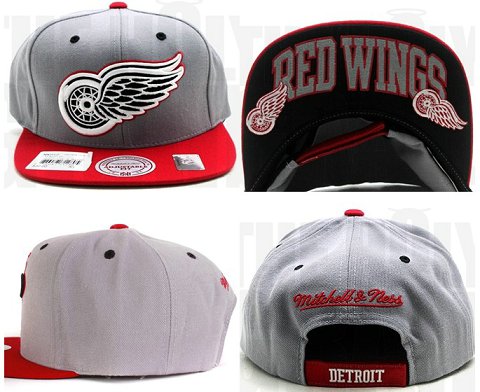 Detroit Red Wings NHL Snapback Hat Sf4